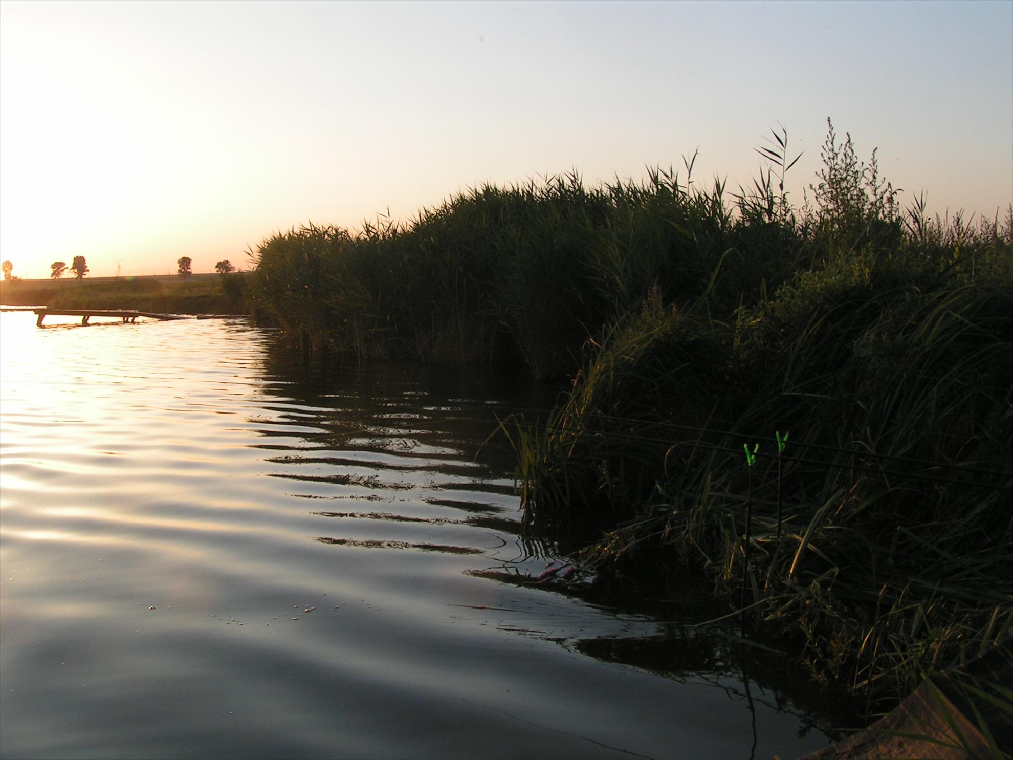 Lates 2-3.07.2012 - pict0010.JPG